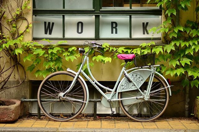 Foto: Unsplash CC0 1.0 Universal (CC0 1.0) Public Domain Dedication/https://pixabay.com/de/fahrrad-pflanzen-t%C3%B6pfe-bl%C3%A4tter-692174/